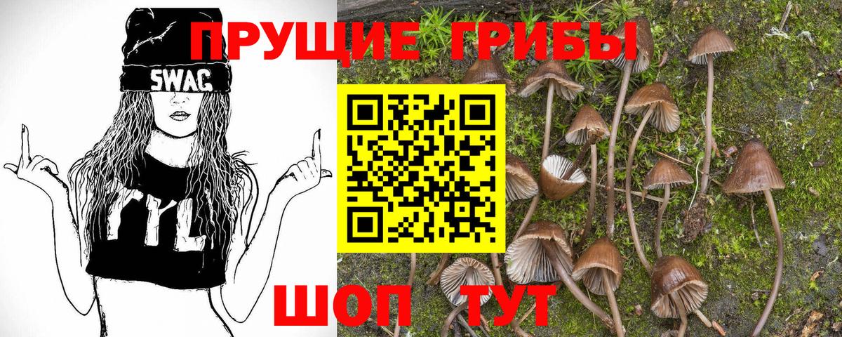 Нарткала  Псилоцибиновые грибы Psilocybine cubensis  Вход с VPN 